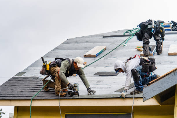 Professional Storm Damage Roof Repair technician working in Hudson, FL